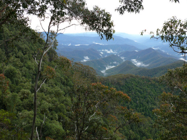 Godwana Rainforests of New South Whales, Australia